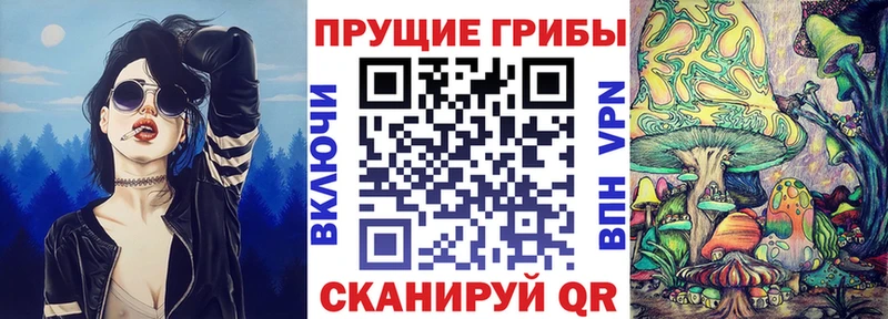 Псилоцибиновые грибы GOLDEN TEACHER цены наркотик Железногорск-Илимский